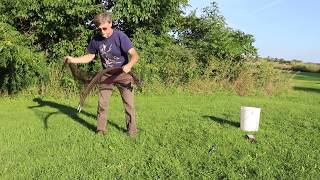 Long Range Remote Control Bownet Release by Noble Falconry [upl. by Boothman]