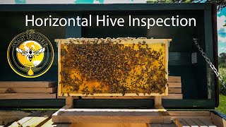 Long Langstroth Hive Update Inspection Saskatraz Honey Bees Horizontal Hive with Better Comb [upl. by Zola]