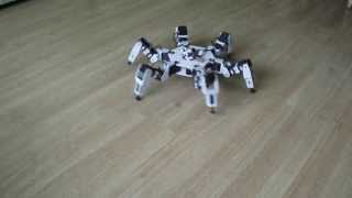 Hexapod Robot Dynamixel AX12A Servo Motors Video 2 [upl. by Ahsatin]