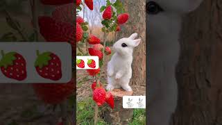 Rabbit eating strawberry 🍓🍓 subscribe to my YouTube channel 🙏🏻🙏🏻🙏🏻🙏🏻 [upl. by Bess]