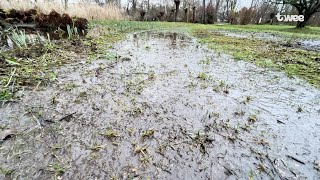 Vlaardingse ‘moeras’ heemtuin dicht maar zonder blubber maandag weer open [upl. by Brause]