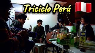 Triciclo Perú  Mojarras  Cover  Acústico [upl. by Halac]