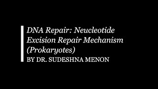 Nucleotide Excision Repair Prokaryotes [upl. by Ludwog189]