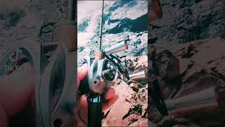 Check out this BFS Trout Fishing Setup ultralightfishing bfsfishing [upl. by Burnsed]