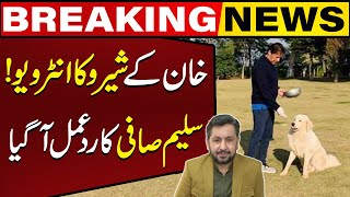 Saleem Safi Reaction On Imran Khans Sherus Interview  Capital TV [upl. by Ashmead]