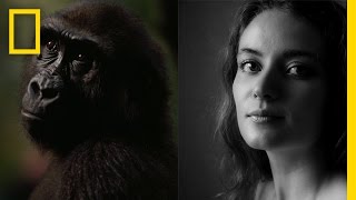 Chimps vs Humans Successful Societies  Nat Geo Live [upl. by Niven]