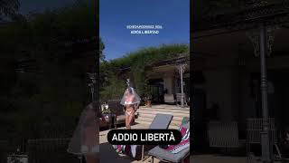 Cecilia Rodriguez addio libertà [upl. by Ahsaela402]