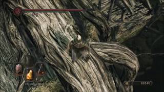 Dark Souls II Scholar of the First Sin Guide House Key Location [upl. by Ronacin590]