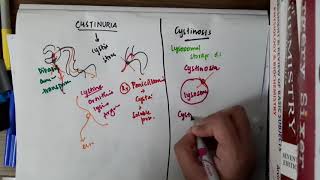 Cystinuria  Biochemistry [upl. by Philipps]