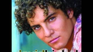 David Bisbal  Vuelvo a ti con Chenoawmv [upl. by Mosa]