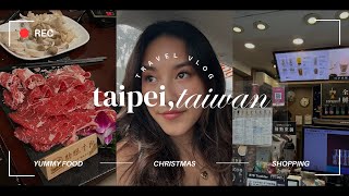 TAIWAN VLOG  exploring taipei during christmas nonstop shopping amp eating [upl. by Linnie]