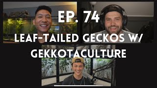 LeafTailed Geckos w GekkotaCulture  Ep 74 of The Gecko Pod [upl. by Adama]