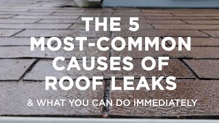 The Five Most–Common Causes of Roof Leaks – And What You Can Do [upl. by Halyk903]