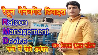 Ratoon management device  Sugarcane  RMD  Ganne mein pedi prabhandhan  dr vikas kumar malik [upl. by Thoma]