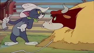 Tom and Jerry  Texas Tom  TampJ Movie Cartoons For Kids [upl. by Innek386]