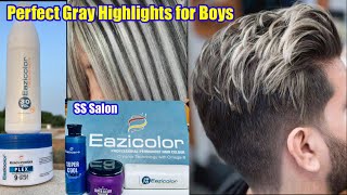 Gray Highlights For Boys How to Make Ash Gray Colour Gray Highlights on Black Hair highlights [upl. by Epul192]