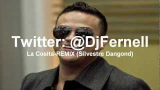 La Cosita RemixSilvestre Dangond RemixDj Fernell [upl. by Froh]