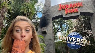 BEST Tips for Adults Visiting Universal Studios Orlando  Is It Worth the Trip [upl. by Randolph548]