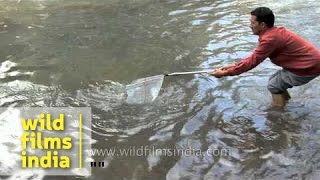 Trout fishing in Verinag India [upl. by Ardelle]