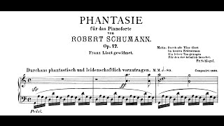 Schumann Fantasie in C Op17 Andsnes [upl. by Cook]