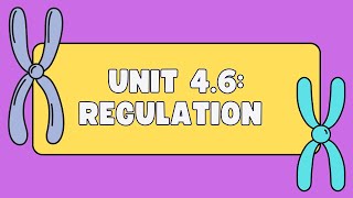 Unit 46 Cell Cycle Regulation [upl. by Francene646]