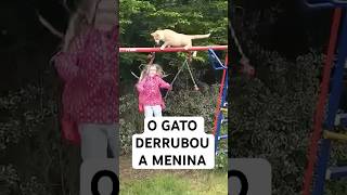 O GATO DERRUBOU ESSA MENINA shorts animais [upl. by Swetiana]