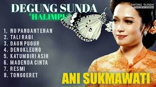 ALBUM DEGUNG 1 • ANI SUKMAWATI • HALIMPU PISAN [upl. by Cattan575]