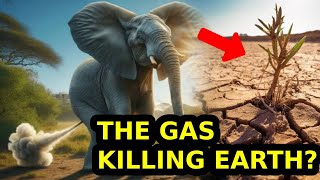 Are Elephants Destroying the Planet MUST WATCH [upl. by Einhpets]