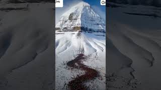 Kailash Parvat mountkailash kailash harharmahadev aadikailash shortsvideo [upl. by Recneps]