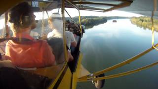 Piper Cub  Flying low [upl. by Lladnor]