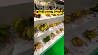 केले की शानदार वैरायटी देख होश उड़ जाएँगे  Banana variety banana shorts viral trending PUSA [upl. by Darcie627]