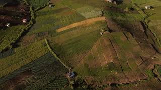 Plantation at Mankayan Benguet [upl. by Stevana]