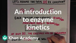 An introduction to enzyme kinetics  Chemical Processes  MCAT  Khan Academy [upl. by Sirtimed]