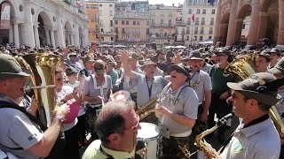 Quelluccellino  Fanfara Cadore Adunata Nazionale Alpini Vicenza 2024 [upl. by Gabel]