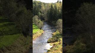 Бурная река Амата природа  Wild river Amata nature wildlife  Nature Sounds [upl. by Khoury694]