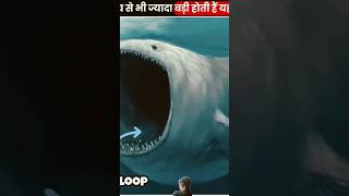 Things Bigger Than You Think 😨 Part 11  देख कर होश उड़ जाएंगे 🤯  The Fact  shorts ytshorts [upl. by Kira]