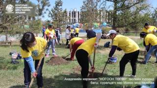 Монос мод тарилаа ChadamjAcademy [upl. by Llirrem5]