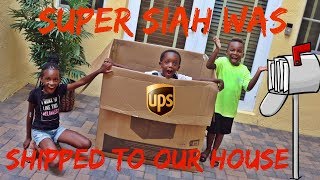 Super Siah Was Shipped To Our House It Worked We Had So Much Fun [upl. by Gherardo521]