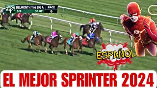 EL MEJOR SPRINTER 2024 BELMONT impresionante belmontpark [upl. by Virgel358]