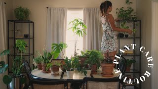 my plant care routine 🪴 healthy houseplant tips amp basics [upl. by Aileda928]