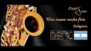 🇦🇷 UNA NUEVA NOCHE FRIA  Callejeros  Alto Sax [upl. by Everard]