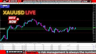 XAUUSD LIVE TRADING  XAUUSD ANALYSIS TODAY  13112024 [upl. by Joslyn551]