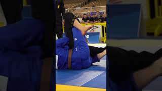 Quase pegou na omoplata  jiu jitsu evolução bjj [upl. by Sybila]