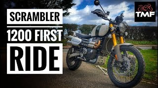 2019 Triumph Scrambler 1200 XE Review [upl. by Beyer]