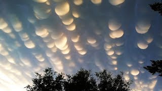 The 10 Basic Types of Clouds and How to Recognize Them [upl. by Heddie254]