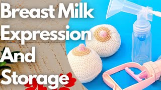 How To Hand Express And Store Breast Milk Step By Step For Beginner [upl. by Thgiwd]