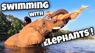 SWIMMING WITH 10000 POUND AFRICAN ELEPHANT  AMAZING [upl. by Chinua590]