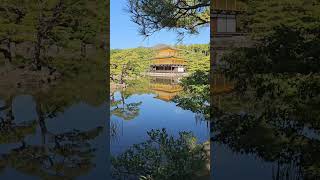 Kinkakuji 金閣寺 one of the most famous temples in Kyoto [upl. by Wengert]