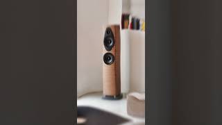 Sonus faber Sonetto G2 hifi audioequipment [upl. by Ellehsat]