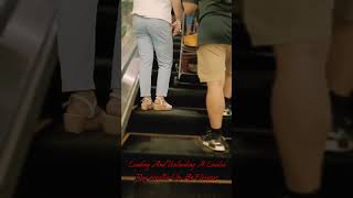 Loading And Unloading A Loaded Dog Stroller On An Elevator allpetmatters dog shorts trending [upl. by Assetan510]